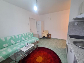 Apartament cu 1 camera primitor și convenabil